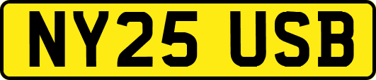 NY25USB