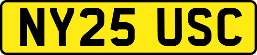 NY25USC
