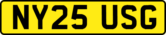 NY25USG
