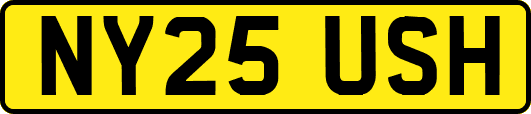 NY25USH