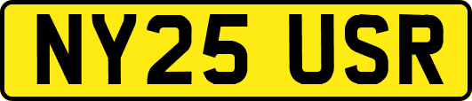 NY25USR