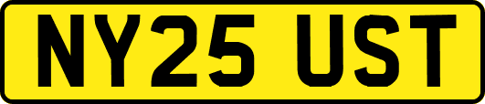 NY25UST