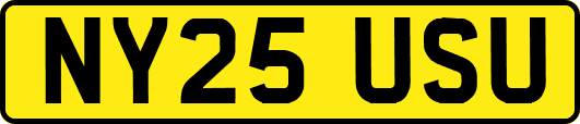 NY25USU