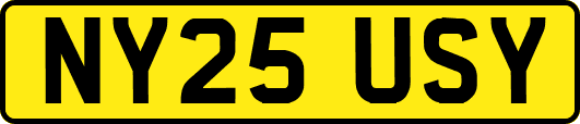 NY25USY