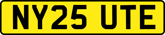 NY25UTE