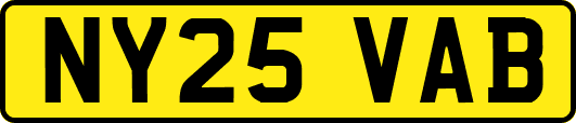 NY25VAB