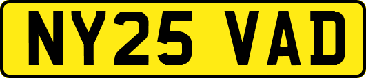 NY25VAD