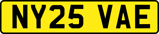 NY25VAE