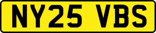 NY25VBS