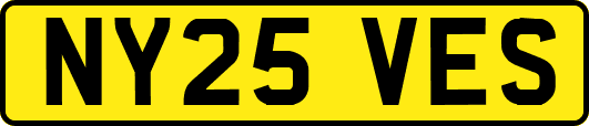 NY25VES