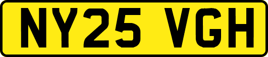 NY25VGH