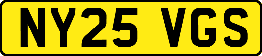 NY25VGS