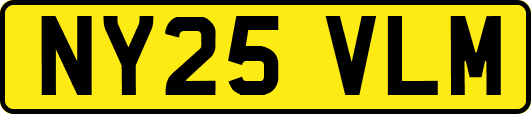 NY25VLM