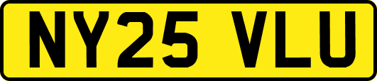 NY25VLU