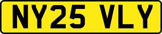 NY25VLY