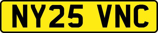 NY25VNC