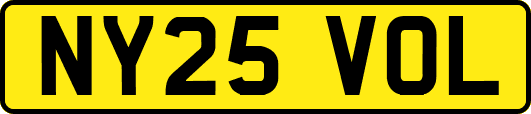 NY25VOL