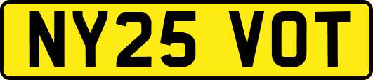 NY25VOT