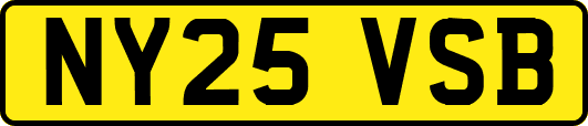 NY25VSB