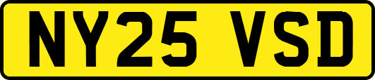 NY25VSD