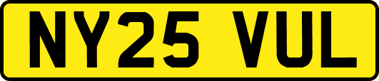NY25VUL