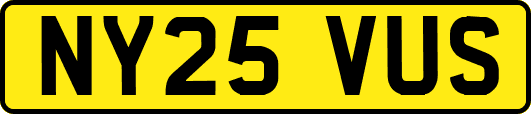 NY25VUS