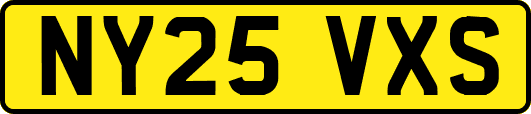 NY25VXS