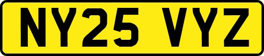 NY25VYZ