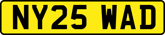 NY25WAD