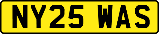 NY25WAS