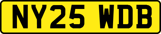 NY25WDB