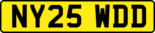 NY25WDD