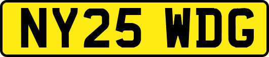 NY25WDG