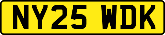 NY25WDK