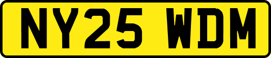 NY25WDM