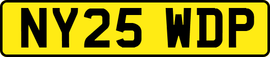 NY25WDP