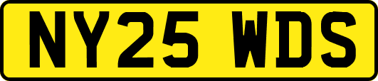 NY25WDS