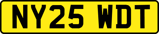 NY25WDT