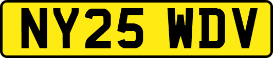 NY25WDV