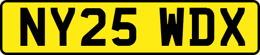 NY25WDX