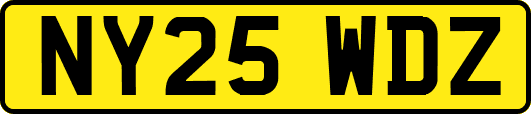 NY25WDZ