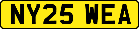 NY25WEA