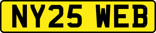 NY25WEB