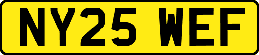 NY25WEF