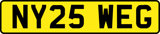NY25WEG