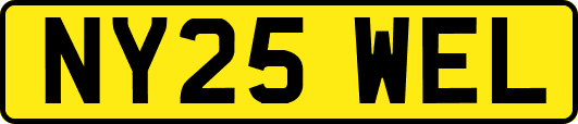 NY25WEL