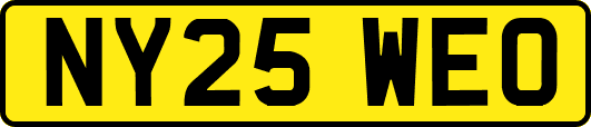 NY25WEO