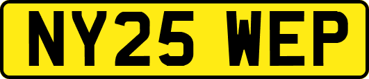 NY25WEP