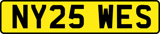 NY25WES