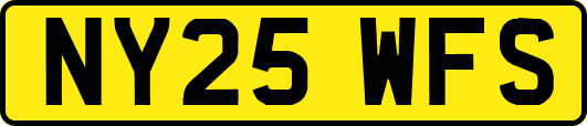 NY25WFS